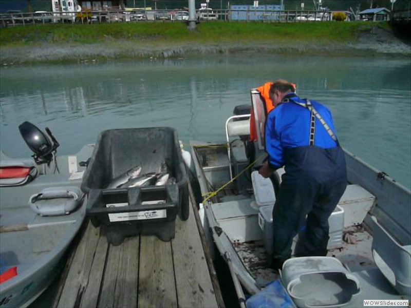 Rick unloads the daily fish