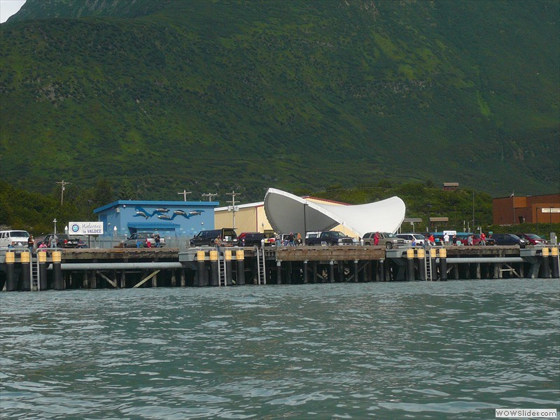 fishermen on the docks