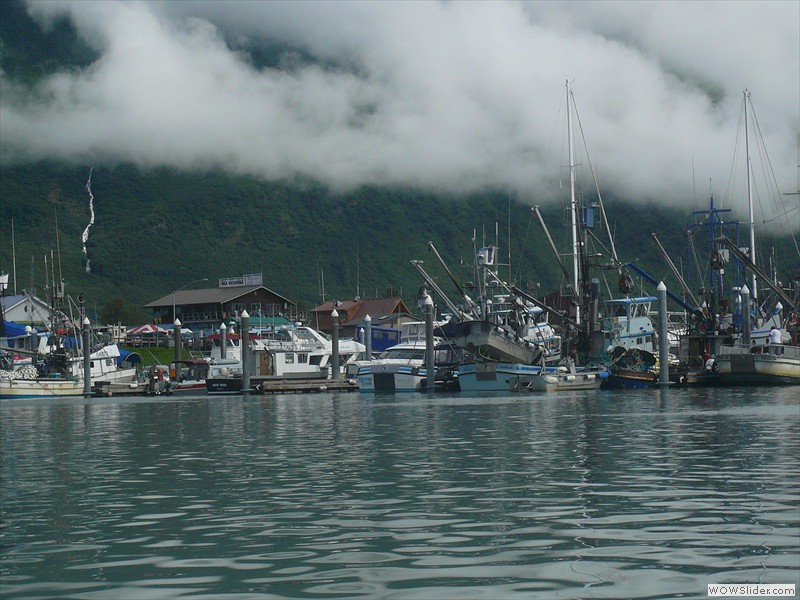 Valdez harbor